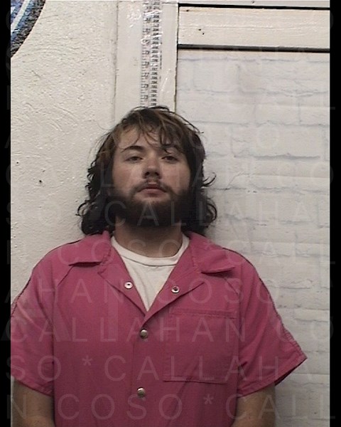 Mugshot of JAYTON CHARLES LAMBERT