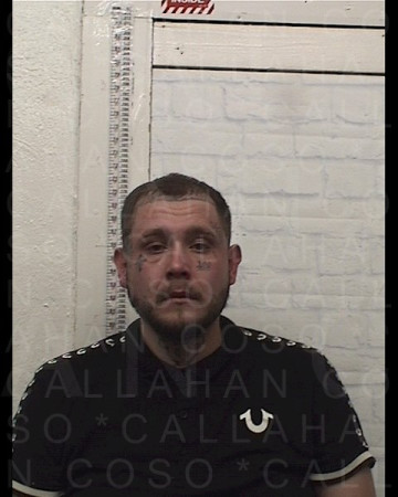 Mugshot of CAMERON ALEXANDER PANNELL