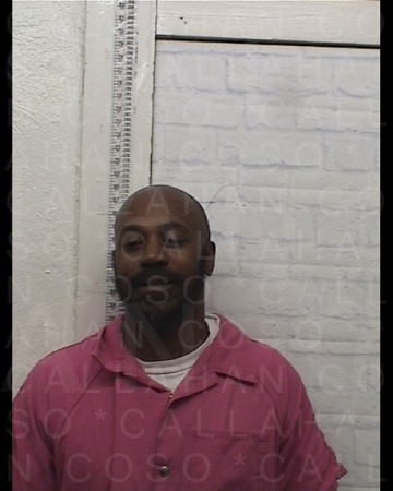 Mugshot of BRANDON CARL POWELL