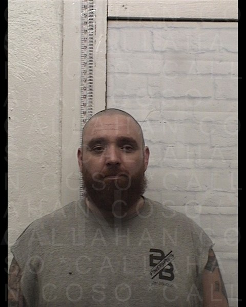 Mugshot of ANTHONY RAYMOND WILCOX