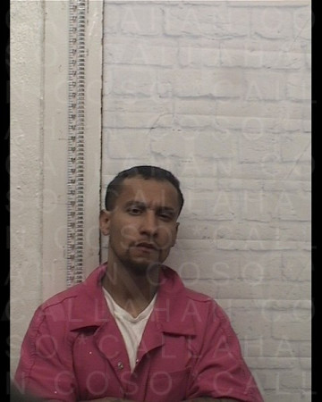 Mugshot of GEORGE TORRES