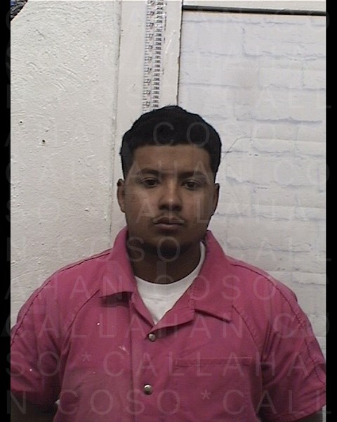 Mugshot of JOSE JR ALFARO