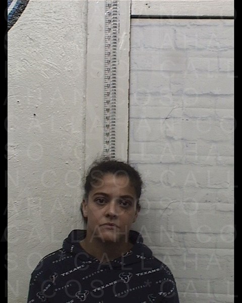 Mugshot of BRIANNA MICHELLE LYNN ECHOLS
