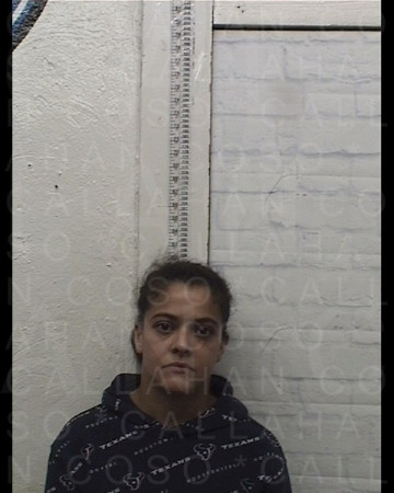 Mugshot of BRIANNA MICHELLE LYNN ECHOLS