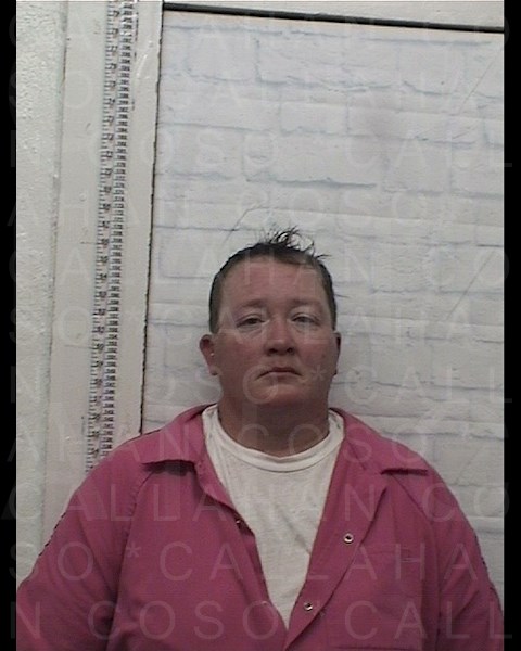 Mugshot of ASHLEY NICOLE DAVIS