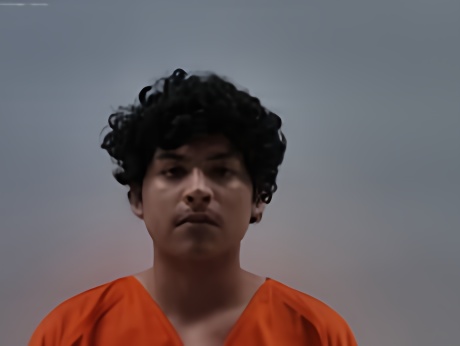 Mugshot of FALCON NICK JR