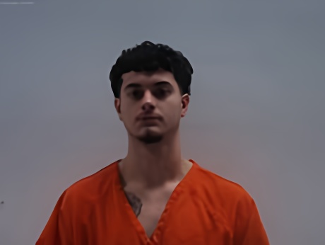 Mugshot of VALENCIANO LUIS FERNANDO