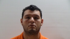 Mugshot of PINEDA JOSE