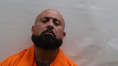Mugshot of MAGALLANES FELIPE