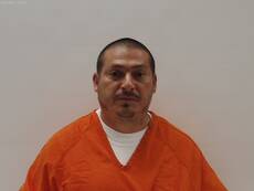 Mugshot of ALANIZ REYNALDO