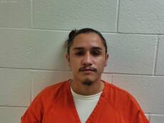 Mugshot of Estrada Angel