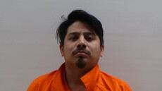 Mugshot of DIAZ ALFONZO