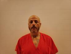 Mugshot of GONZALES JOSE ROEL