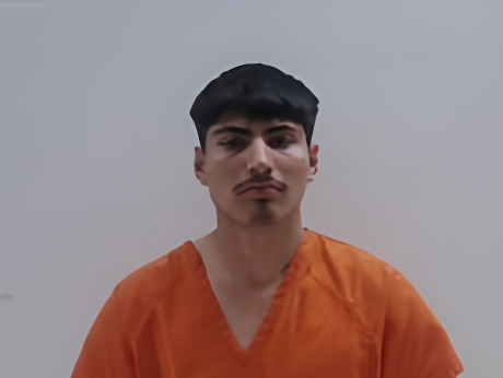 Mugshot of RIVERA PELAYO ADALBERTO