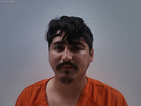 Mugshot of GONZALEZ MICHAEL