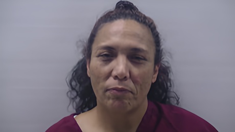 Mugshot of GOMEZ LISA ANN