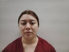 Mugshot of Noyola Valentina Anahi