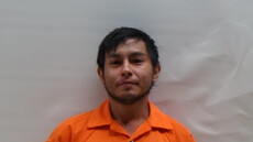 Mugshot of OLVERA JOSE