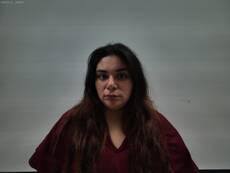 Mugshot of PALOMINO NANCY