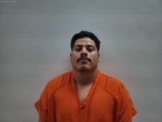 Mugshot of DELEON JAVIER FERNANDO