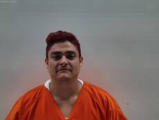 Mugshot of HAYNES ADRIAN