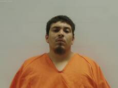Mugshot of ALVARADO DAVID