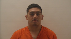 Mugshot of MARTINEZ LAUREANO SERGIO