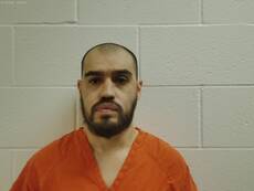 Mugshot of MELENDEZ MARTIN