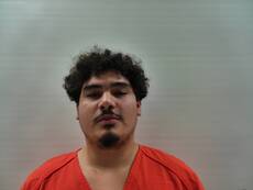 Mugshot of DELEON DYLAN