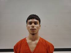 Mugshot of BUENO ELISEO