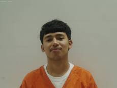 Mugshot of NINO LUIS IVAN