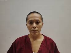 Mugshot of ZEPEDA ESTER MARIE