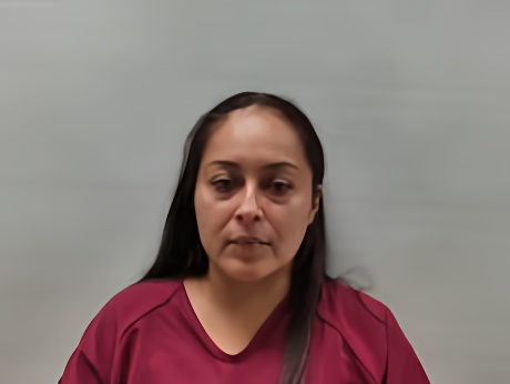 Mugshot of GONZALES MIRANDA LISER