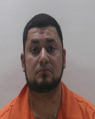 Mugshot of RAYGOZA HERMENEGILDO