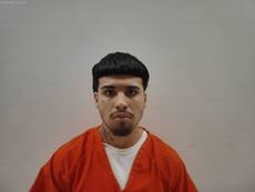 Mugshot of ESTRADA ERIK