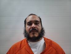 Mugshot of FLORES SALVADOR