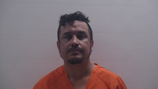 Mugshot of BORBOLLA PADRON LUIS ARIEL