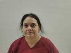 Mugshot of JORDAN LORRAINE