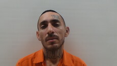 Mugshot of REYES PENA JULIAN ULISSES