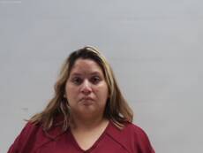 Mugshot of PINA MATA ILLEANA MICHEL