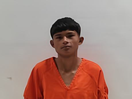 Mugshot of HERNANDEZ FLORES JORGE ANTONIO