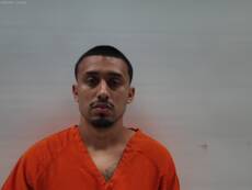 Mugshot of PERALEZ DAVID JR