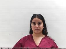 Mugshot of MIRELES TAYLOR NICOLE