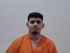 Mugshot of DIAZ DALESSANDRO ALEXIS