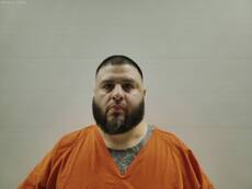 Mugshot of FLORES RODOLFO