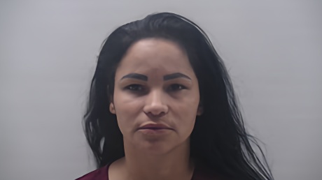 Mugshot of DIAZ SANCHEZ ARLENIS