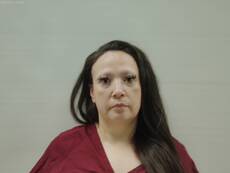 Mugshot of PEREZ LUISA GRACE