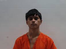 No mugshot available