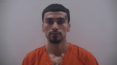 Mugshot of PADRON JOHNNY