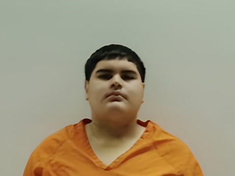 Mugshot of Medina Luis